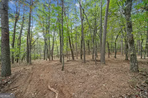 302 Oak Trce E, Jasper, GA 30143 photo 6
