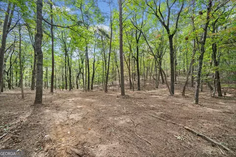 302 Oak Trce E, Jasper, GA 30143 photo 3