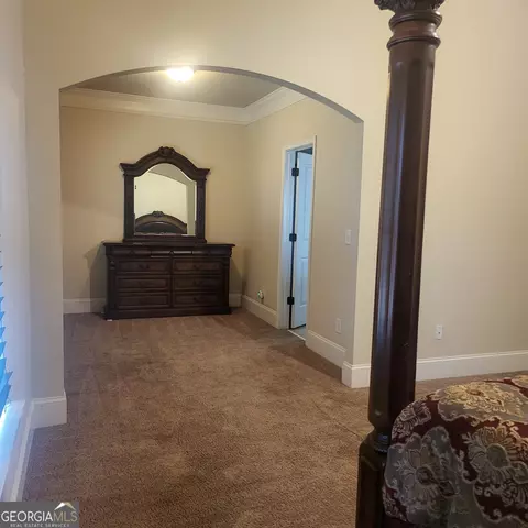 145 Belgian Ct, Hampton, GA 30228 photo 15