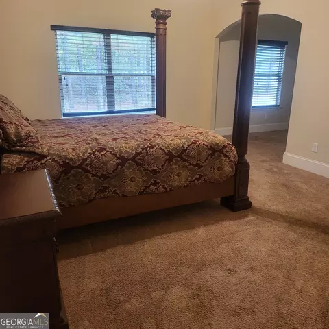 145 Belgian Ct, Hampton, GA 30228 photo 14