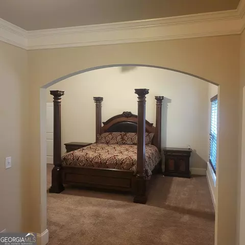 145 Belgian Ct, Hampton, GA 30228 photo 16