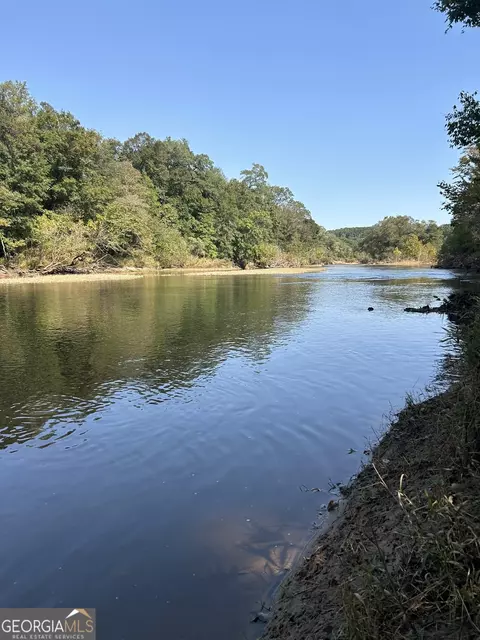 0 Hwy 36, Woodland, GA 31836