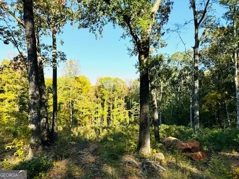 331 Garr Rd, Jackson, GA 30233 photo 8