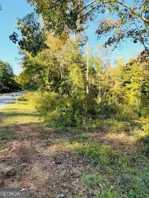 331 Garr Rd, Jackson, GA 30233 photo 9