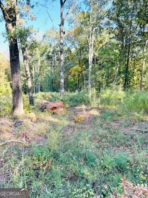 331 Garr Rd, Jackson, GA 30233 photo 10