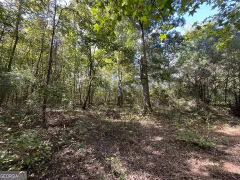 0 Berry Rd, Barnesville, GA 30204 photo 8