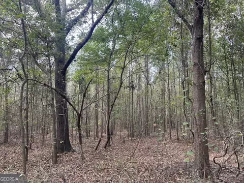 0 Berry Rd, Barnesville, GA 30204 photo 11