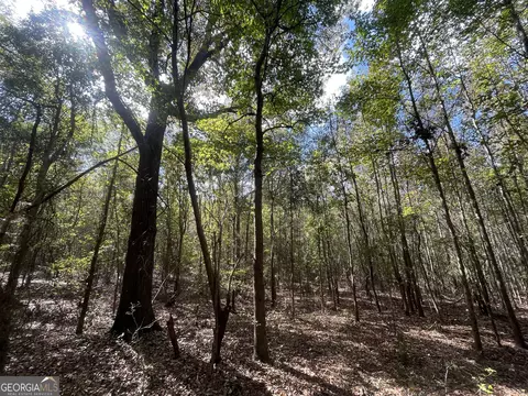 0 Berry Rd, Barnesville, GA 30204 photo 3
