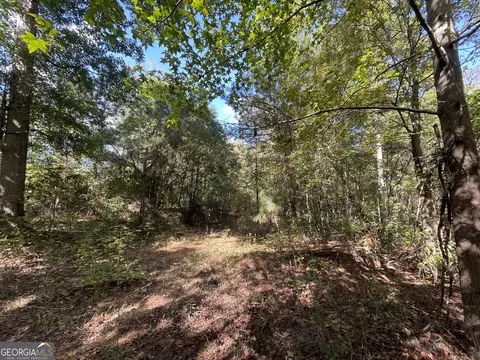 0 Berry Rd, Barnesville, GA 30204 photo 4