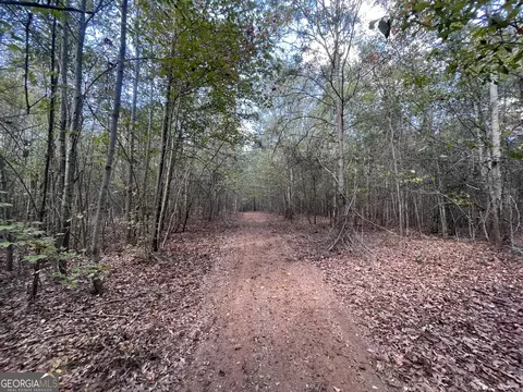 0 Berry Rd, Barnesville, GA 30204 photo 12