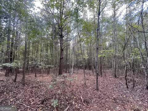 0 Berry Rd, Barnesville, GA 30204 photo 10