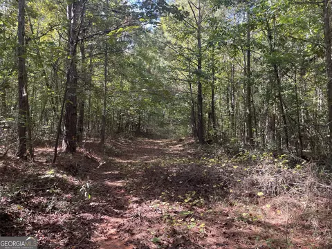 0 Berry Rd, Barnesville, GA 30204 photo 7