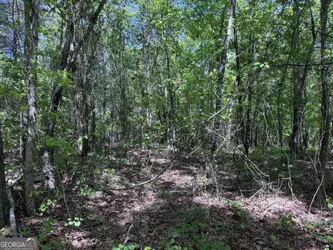 0 Hwy 17 2419 Acres, Eastanollee, GA 30538