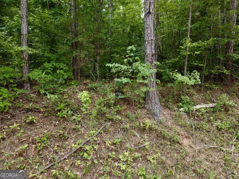 560 S River Dr, Covington, GA 30014 photo 6