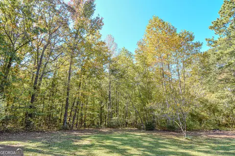 0 Ranchland Gap, Williamson, GA 30292 photo 6