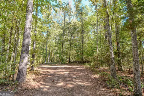 0 Ranchland Gap, Williamson, GA 30292 photo 11
