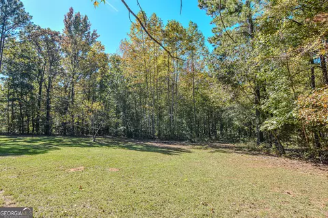 0 Ranchland Gap, Williamson, GA 30292 photo 9