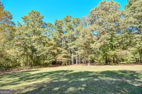 0 Ranchland Gap, Williamson, GA 30292 photo 5