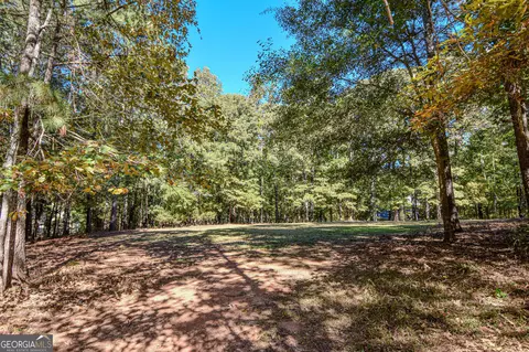 0 Ranchland Gap, Williamson, GA 30292 photo 8