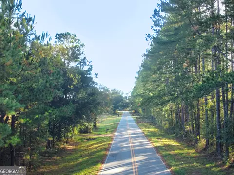 0 Mosley Rd, Claxton, GA 30417