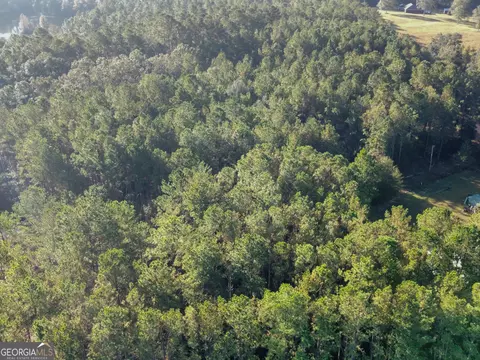 0 Mosley Rd, Claxton, GA 30417 photo 4