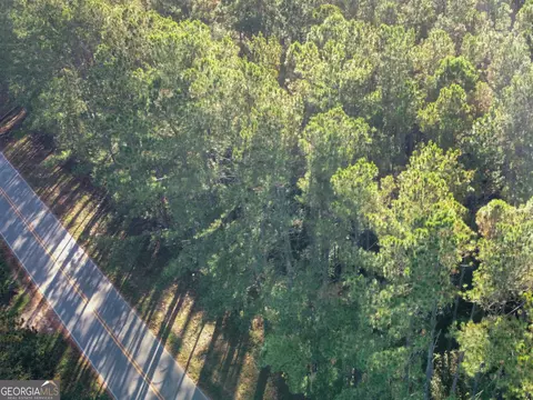 0 Mosley Rd, Claxton, GA 30417 photo 2