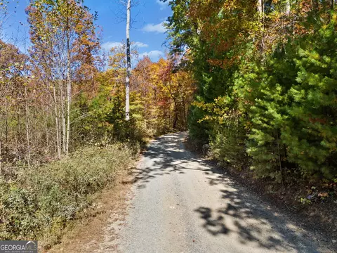 16 31 Ac Old Burnt Mt Rd, Ellijay, GA 30536