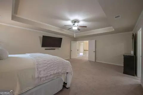 137 Belgian Ct, Hampton, GA 30228 photo 29