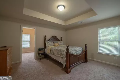 137 Belgian Ct, Hampton, GA 30228 photo 37