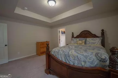137 Belgian Ct, Hampton, GA 30228 photo 38