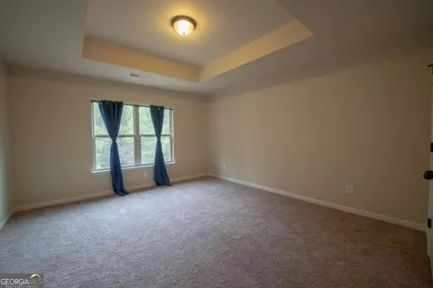137 Belgian Ct, Hampton, GA 30228 photo 45