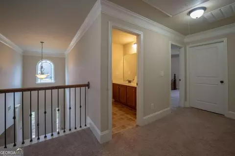 137 Belgian Ct, Hampton, GA 30228 photo 35