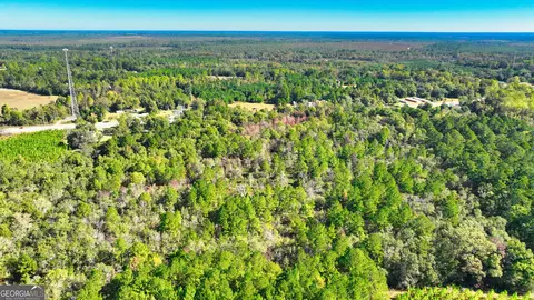 0 Golden Isles Hwy, Lumber City, GA 31549