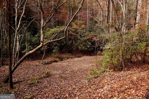 TRACT Ponderosa Drive #TRACT 2, Epworth, GA 30541
