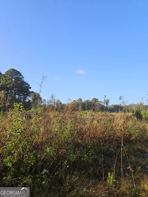 0 Shade Tree, Midway, GA 31320 photo 4