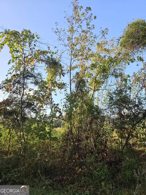 0 Shade Tree, Midway, GA 31320 photo 5