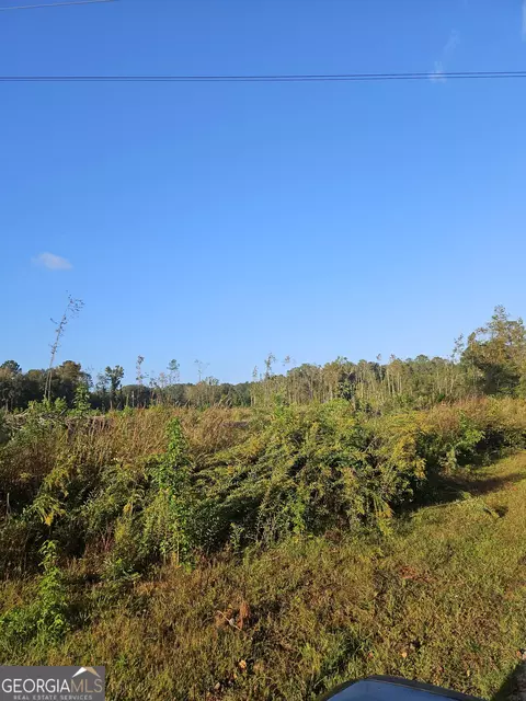 0 Shade Tree, Midway, GA 31320 photo 6