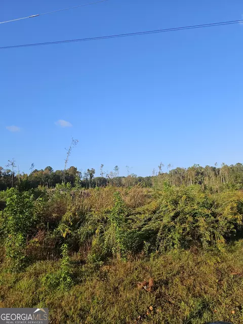 0 Shade Tree, Midway, GA 31320 photo 8