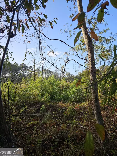 0 Shade Tree, Midway, GA 31320 photo 3