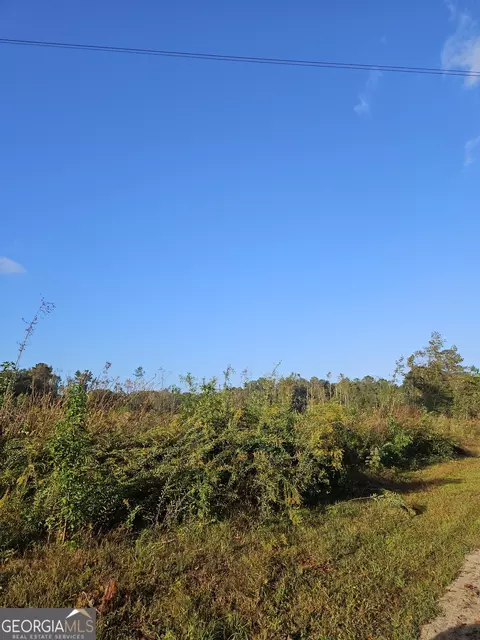 0 Shade Tree, Midway, GA 31320 photo 7