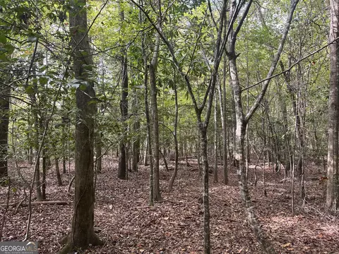 0 Club Rd, Toomsboro, GA 31090