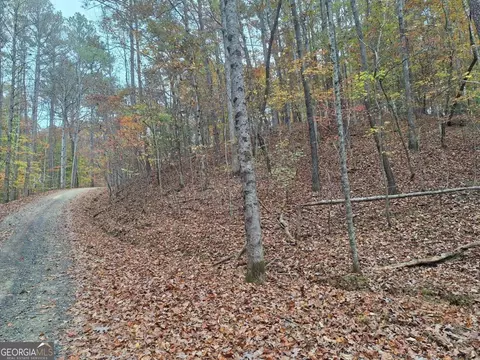 LT2909 Newton Lane #2909, Ellijay, GA 30540