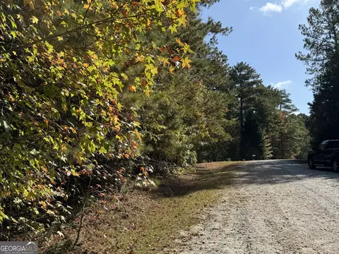 0 Prairie Chicken Ct, Monticello, GA 31064