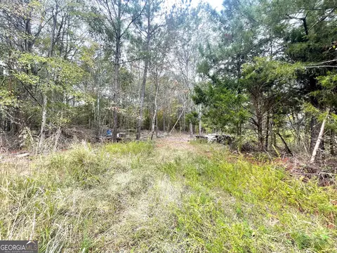 298 N Fifth Ave, Carlton, GA 30627