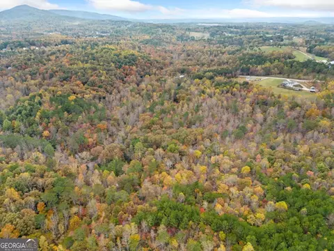 15 05 Acres Hobson Rd, Jasper, GA 30143 photo 13