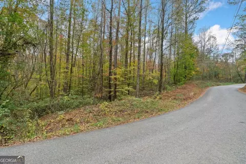 15 05 Acres Hobson Rd, Jasper, GA 30143 photo 4