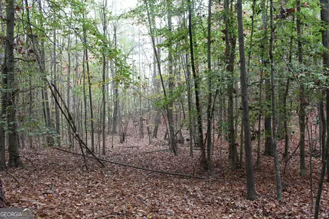 0 County Road 134, Woodland, AL 36280