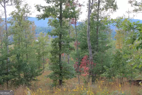 0 Beaver Ridge Rd, Blairsville, GA 30512