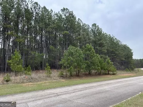 1022 Hunters Lndg, Tignall, GA 30668