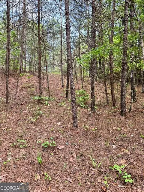 0 Old Shyers Ford Rd, Talking Rock, GA 30175
